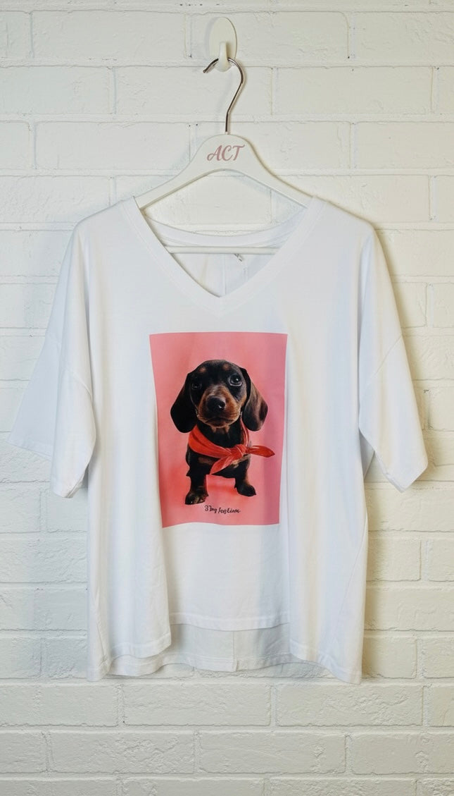 Camiseta Dog Fashion+5colores