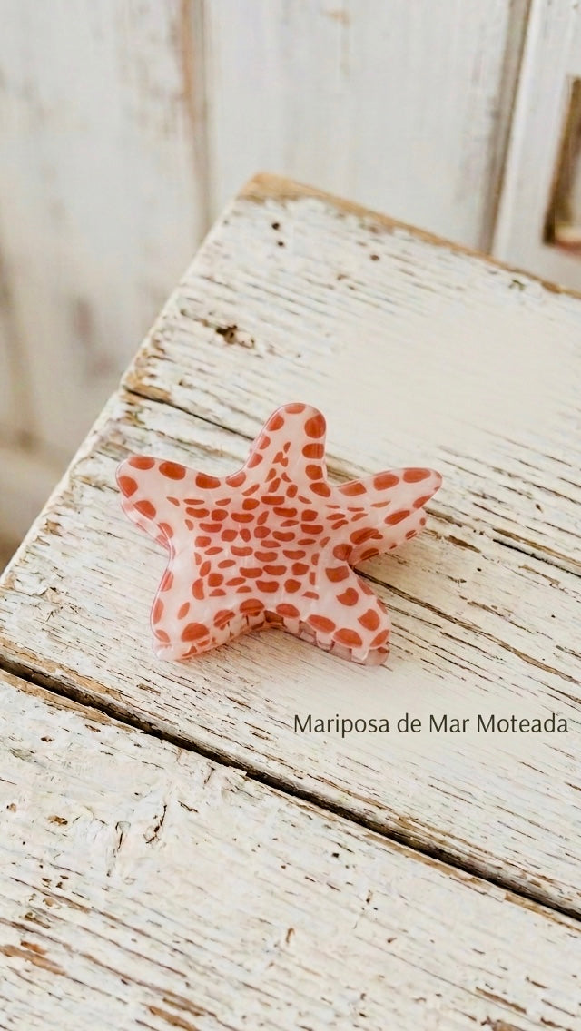 Pinza de pelo estrellita de mar +5 modelos