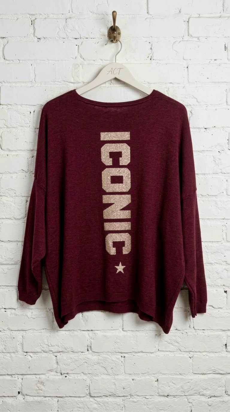 Jersey Oversize Iconic Star +2 colores