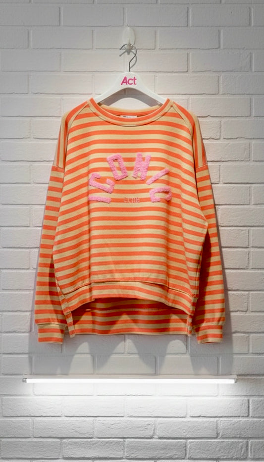 Sudadera Iconic rayas +1 color