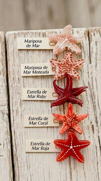 Pinza de pelo estrellita de mar +5 modelos