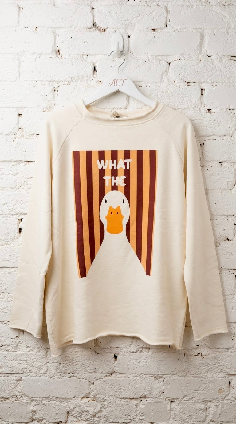 Sudadera Pato Rayas +3 colores