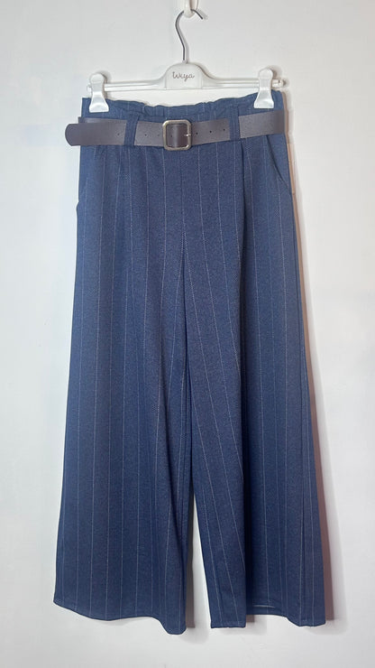 Pantalón raya diplomática +2 colores