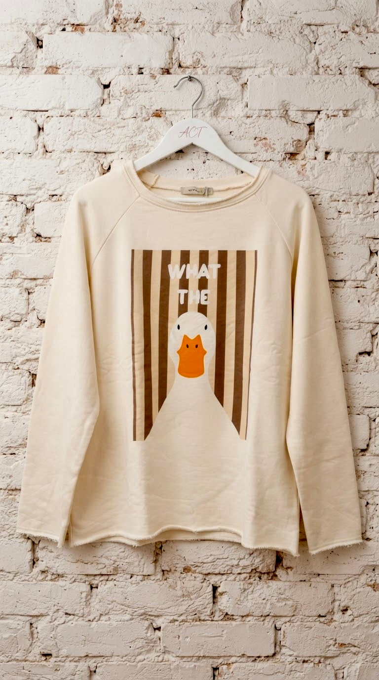 Sudadera Pato Rayas +3 colores